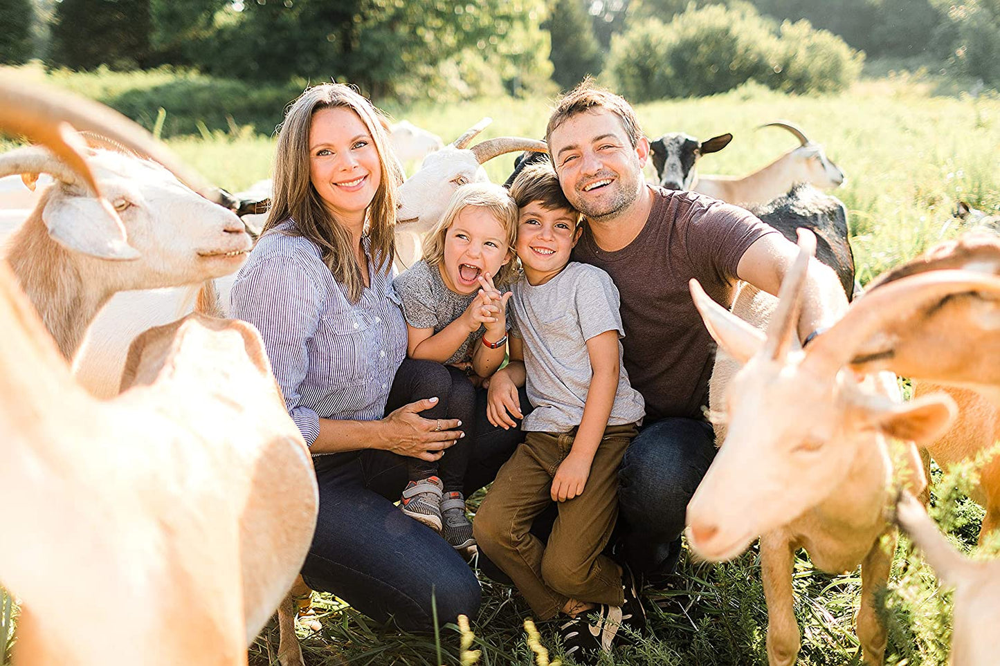 All Natural Deodorant Cream, Aluminum Free Deodorant for Women or Men, 2.4 Ounce - Activated Charcoal